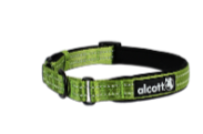 Green Martingale Collars - Reflective