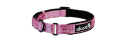 Pink Martingale Collars - Reflective