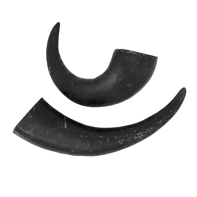 Peaks N Paws- Buffalo Horn Dog Chews