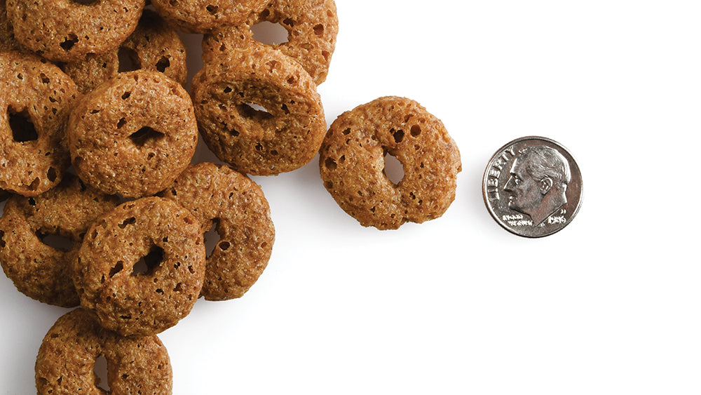 Fromm Crunchy O's-Pumpkin Kran Pow Dog Treats