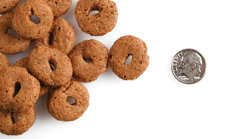 Fromm Crunchy O's-Slammon' Smoked Salmon Dog Treats