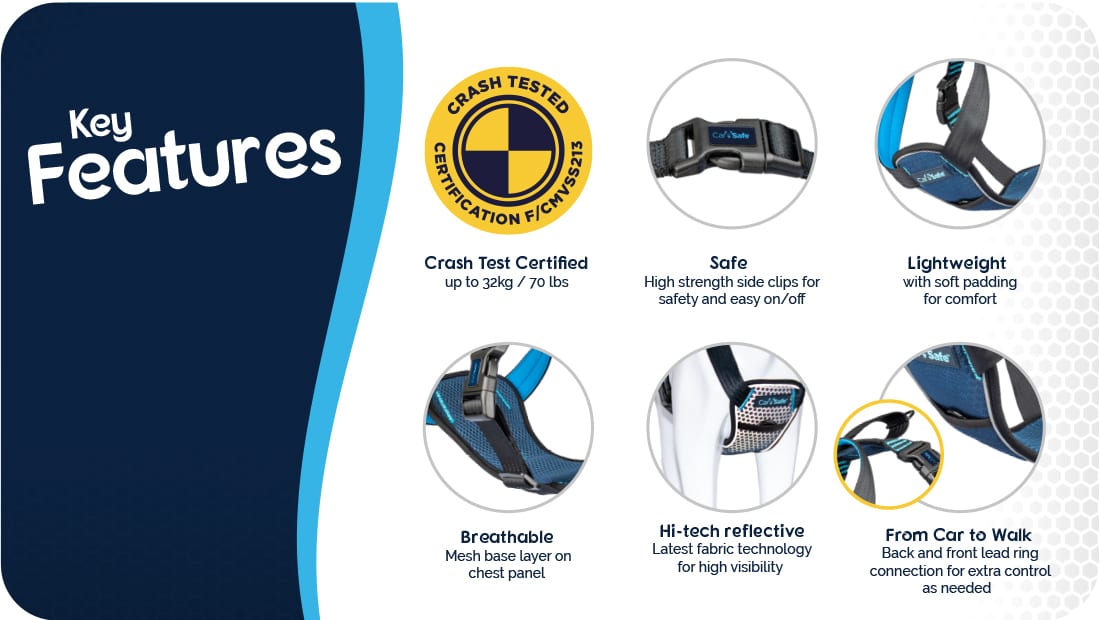 Carsafe Crash Tested Harnesses