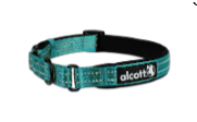 Blue Martingale Collars - Reflective