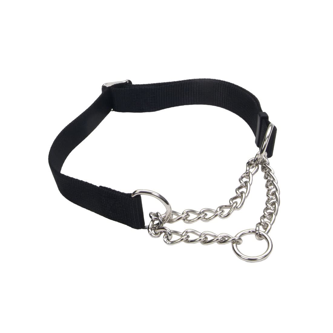 Coastal Training Martingale Collar w/ Chain