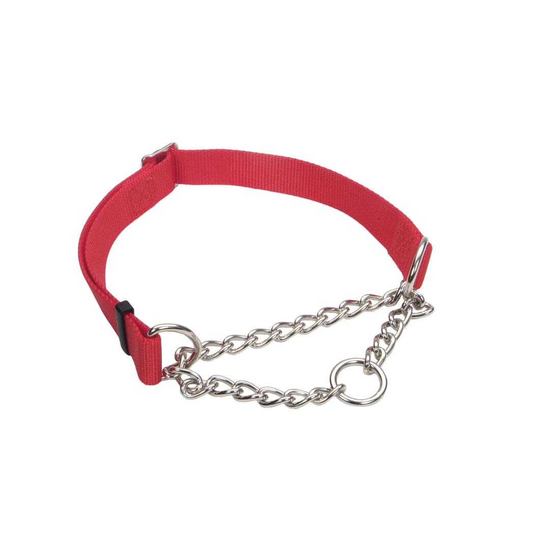 Coastal Training Martingale Collar w/ Chain