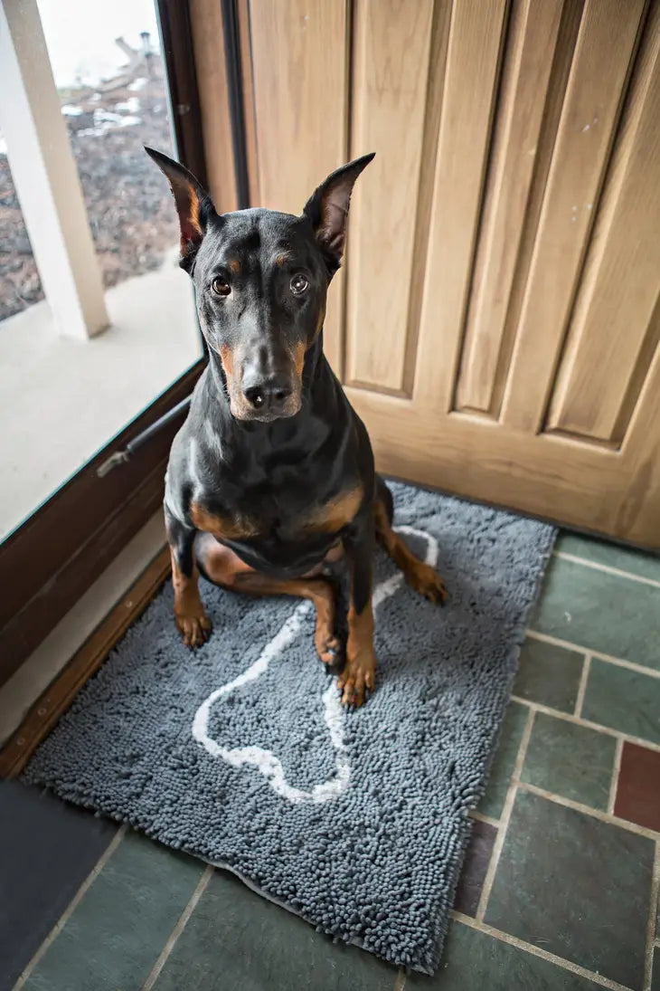 Soggy Doggy- Large Doormat