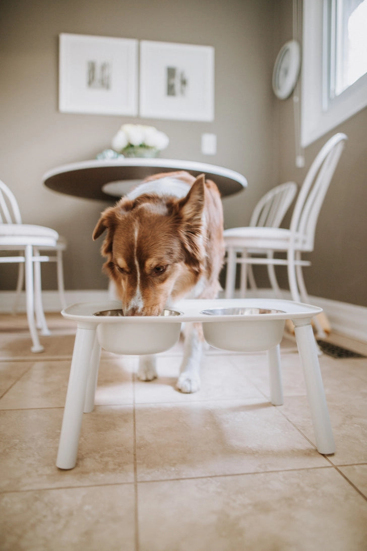 Messy Mutts Adjustable elevated Double Feeder -Light Grey