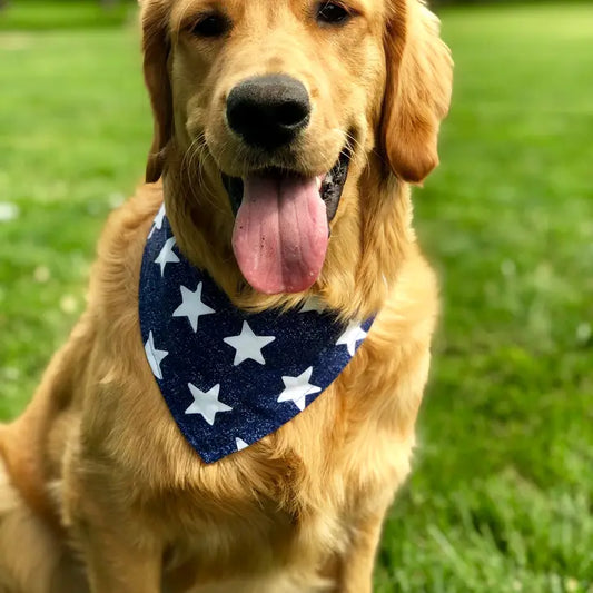 BibbyBubby-Patriotic Bandana