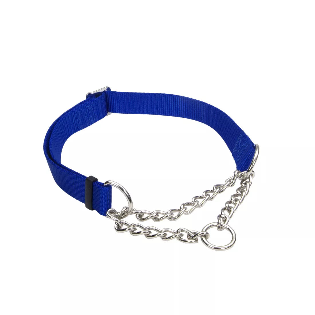 Coastal Training Martingale Collar w/ Chain