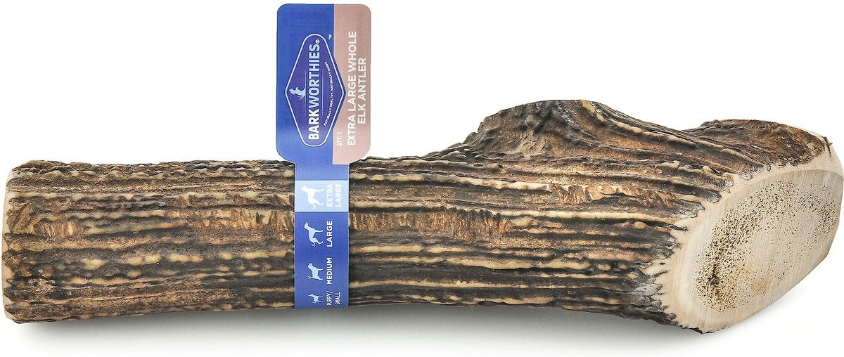 Barkworthies-  Elk Antler Whole