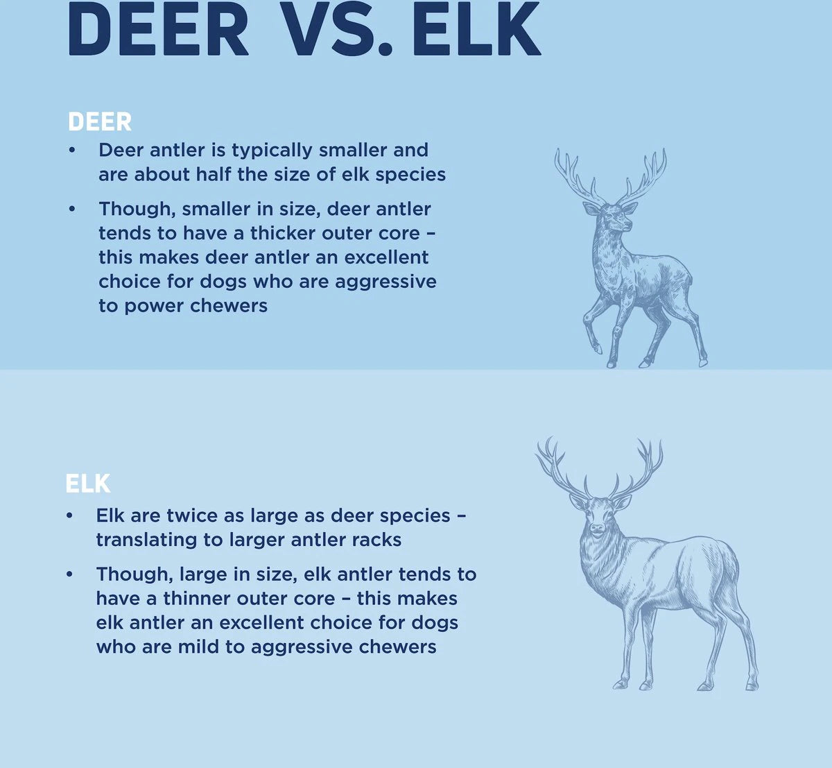 Barkworthies-  Elk Antler Whole