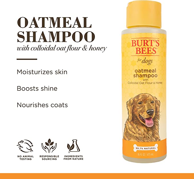 Burt's Bees- Oatmeal Shampoo 16oz