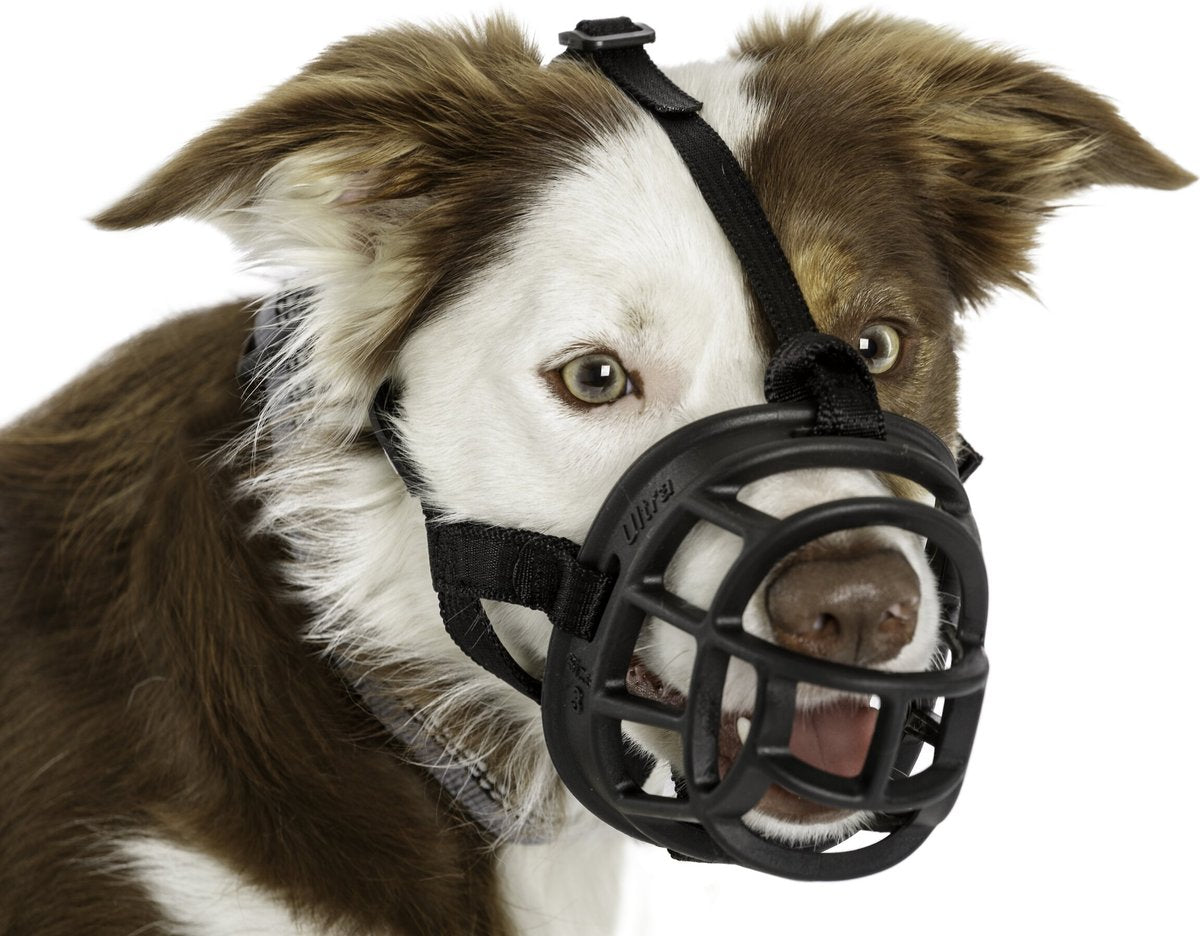 Baskerville Basket Muzzle - Size 4