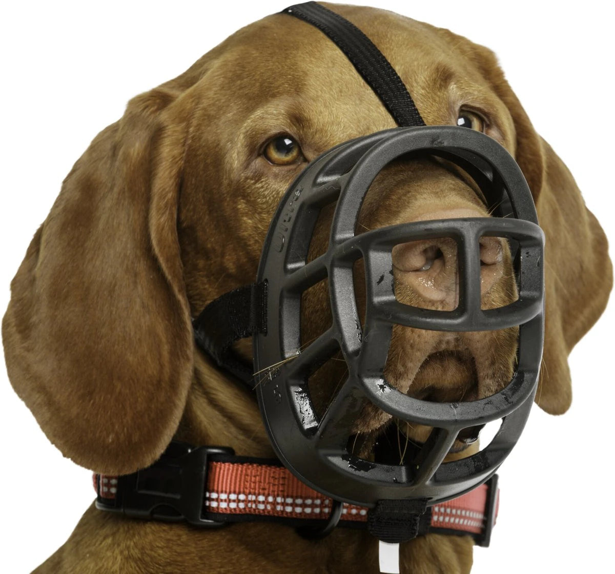 Baskerville Basket Muzzle - Size 4