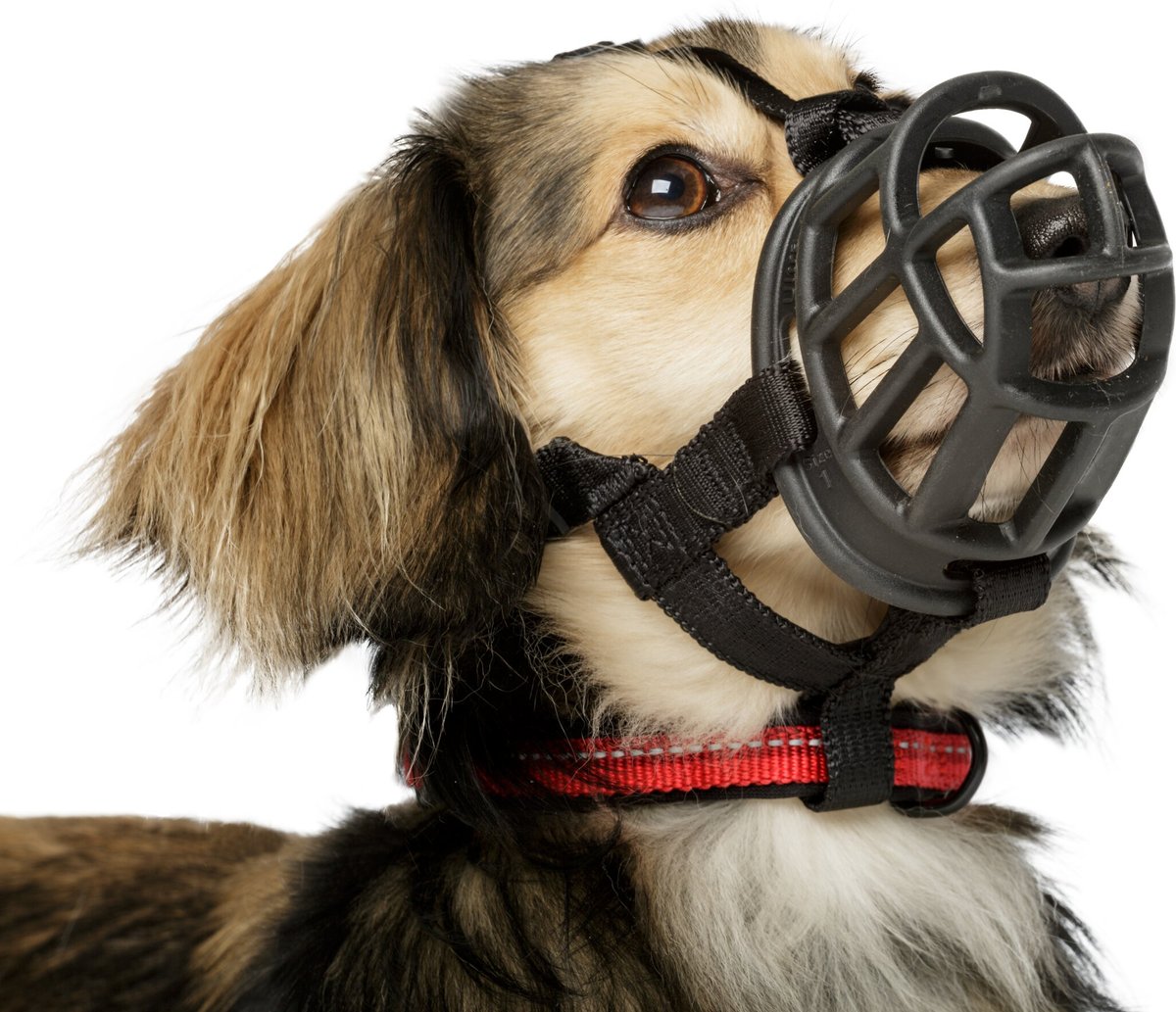 Baskerville Basket Muzzle - Size 4