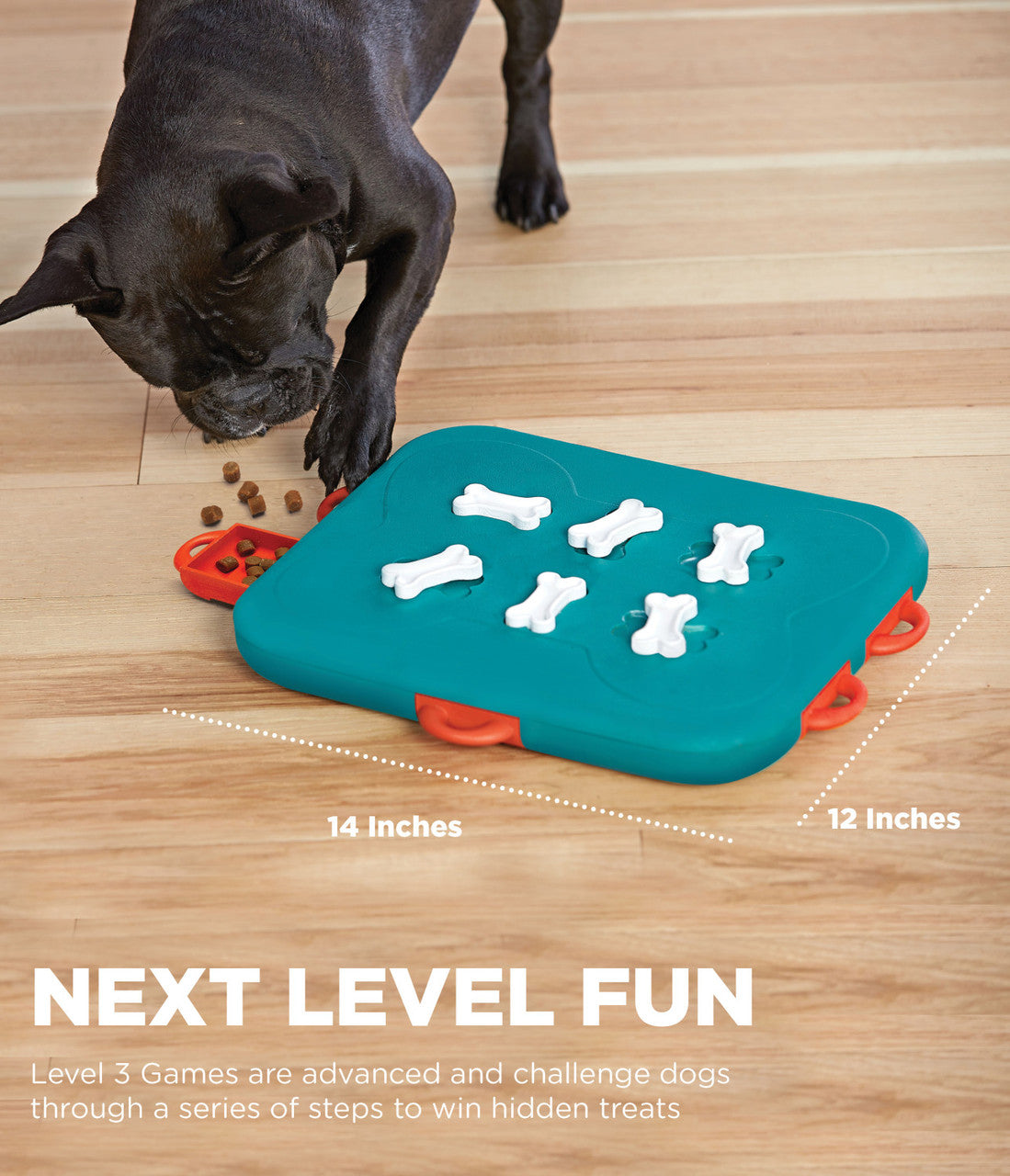 Outward Hound Pet Products- Dog Casino