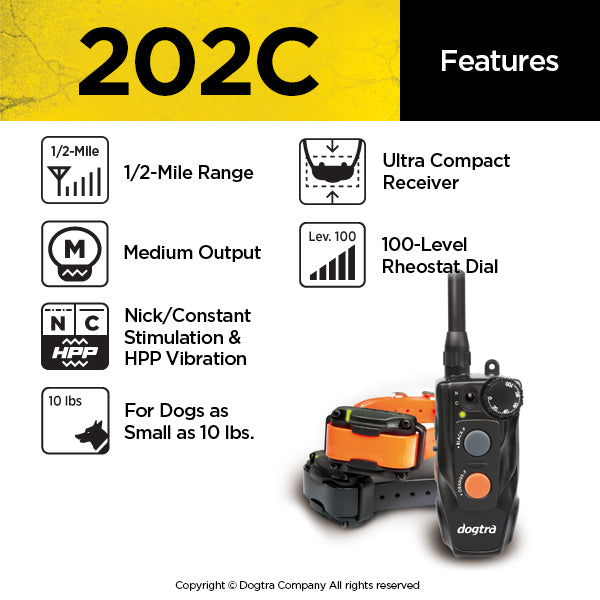 Dogtra 202C (Double Dog System)