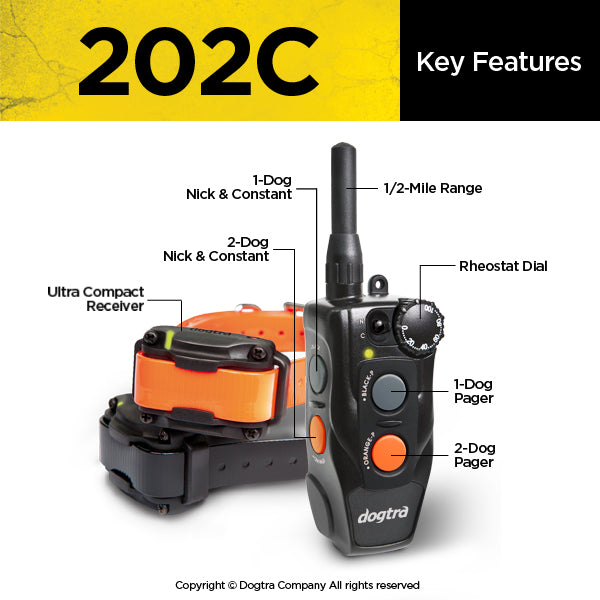 Dogtra 202C (Double Dog System)