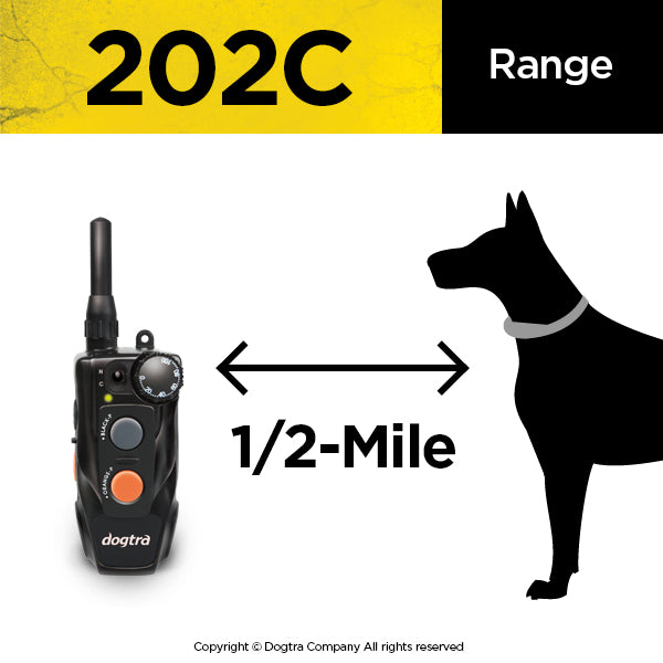 Dogtra 202C (Double Dog System)