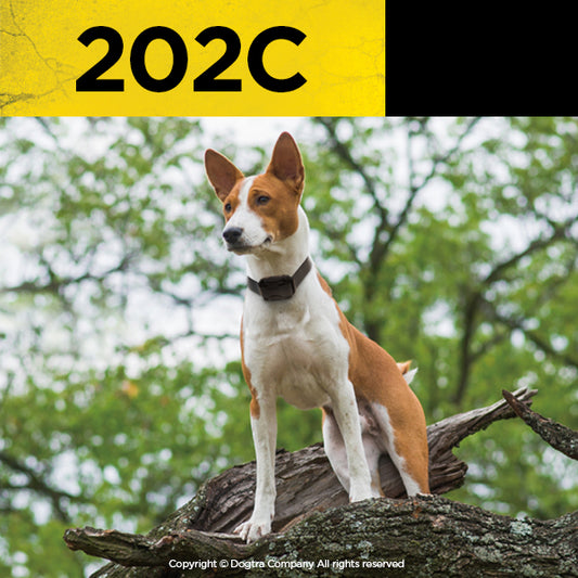 Dogtra 202C (Double Dog System)