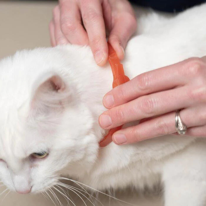 Wondercide- Flea/Tick Collar