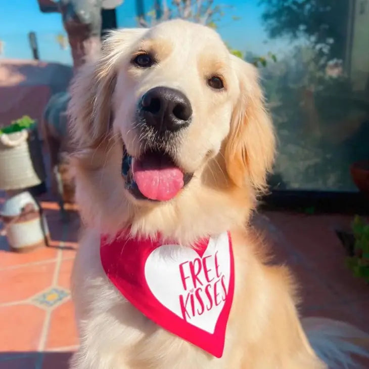 Bibby Bubbly- Valentine's Bandanas