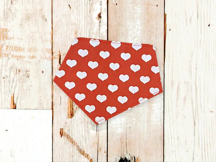 Bibby Bubbly- Valentine's Bandanas