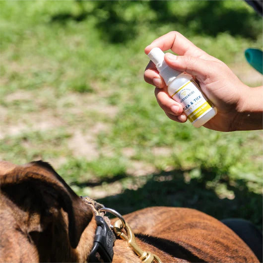 Wondercide- Flea/Tick Spray 1oz