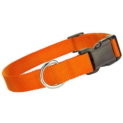 Parisian Pet- Pet Collar