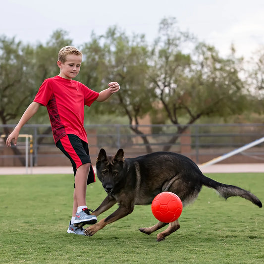 Jolly Ball- Soccer Ball