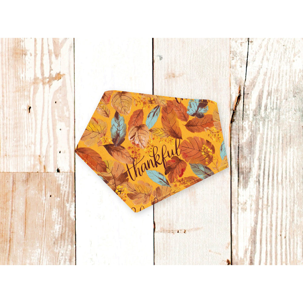 Bibby Bubbly - Fall Themed Pet Bandanas