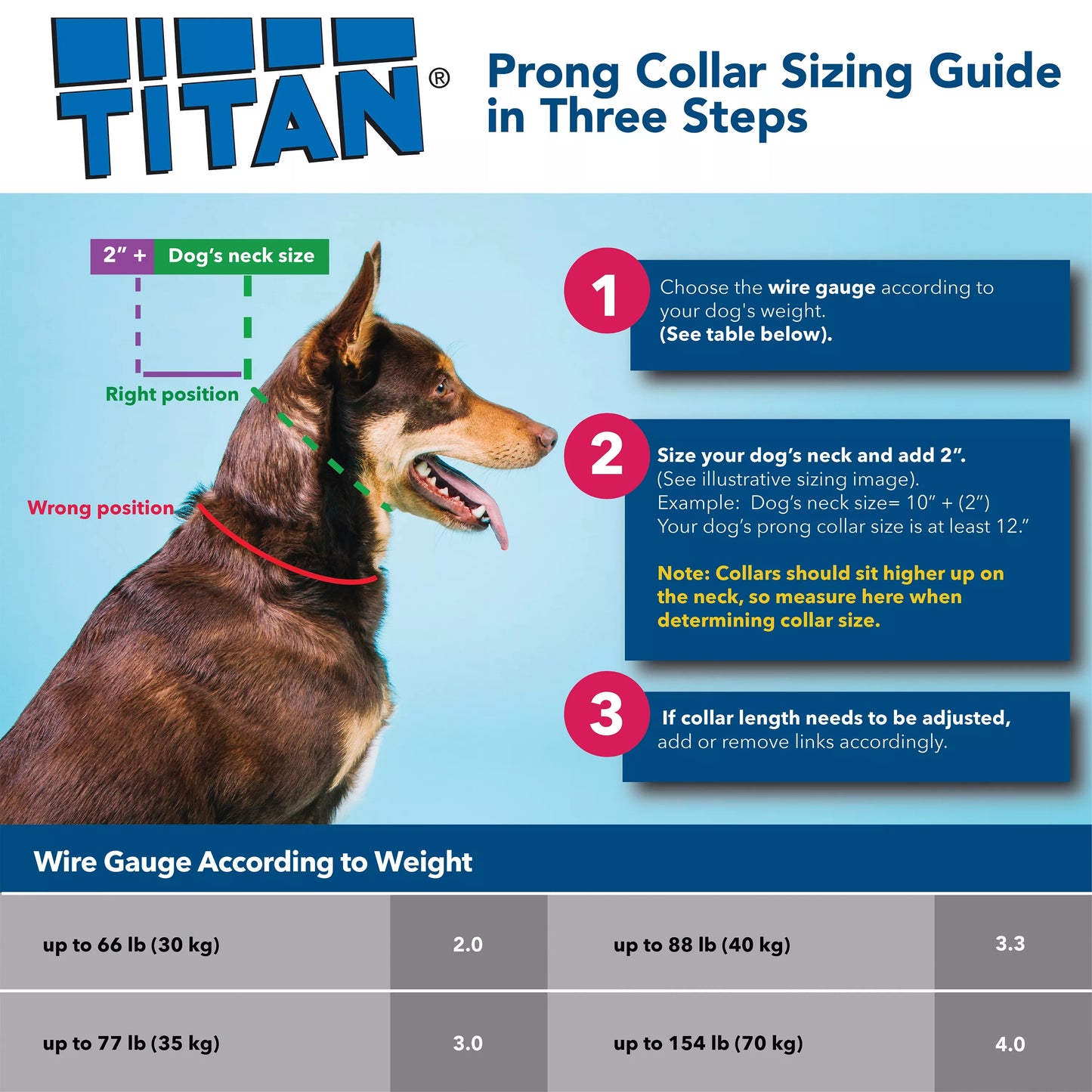 Nylon Buckle Titan Prong Collar