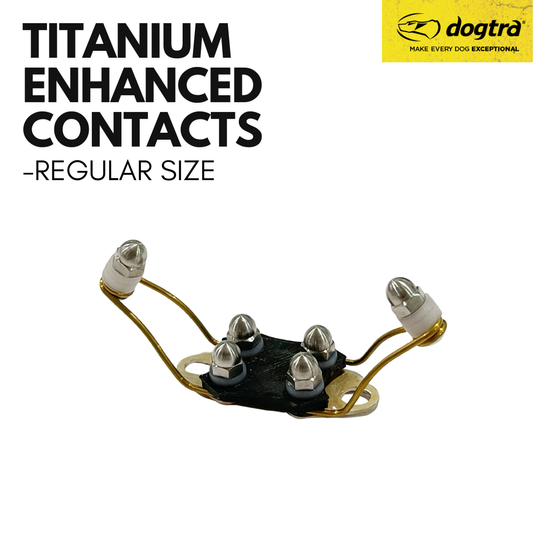 Dogtra- Titanium Enhanced Contacts - REGULAR Size