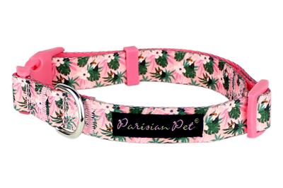 Parisian Pet- Pet Collar