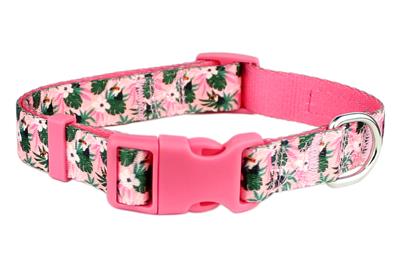 Parisian Pet- Pet Collar