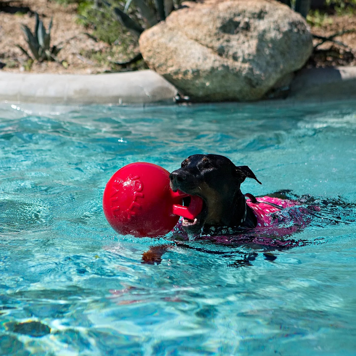 Tug-n-Toss Jolly Ball with Handle