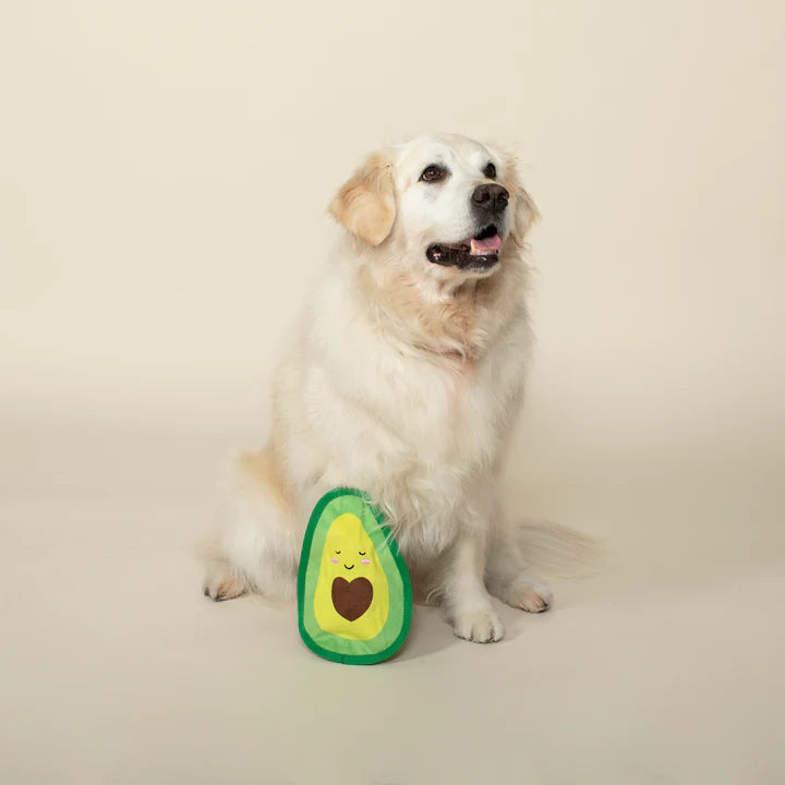 PetShop- Durable Dog Toy