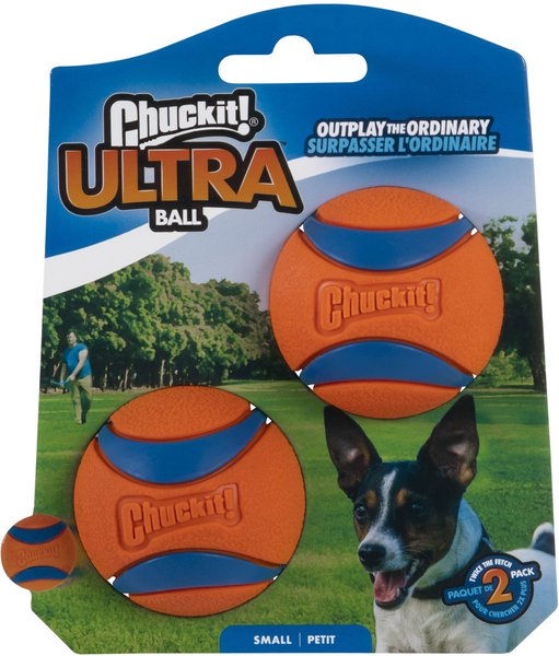 Chuck-it! 2 pack- Small Ball