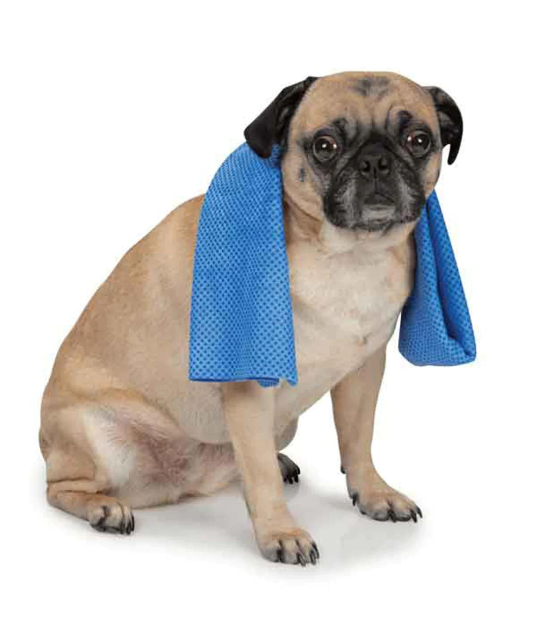 Cool Pup - Cooling Towel