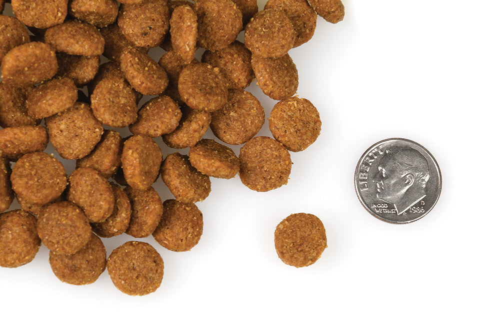 Fromm Four Star Dry Recipe Dog Food