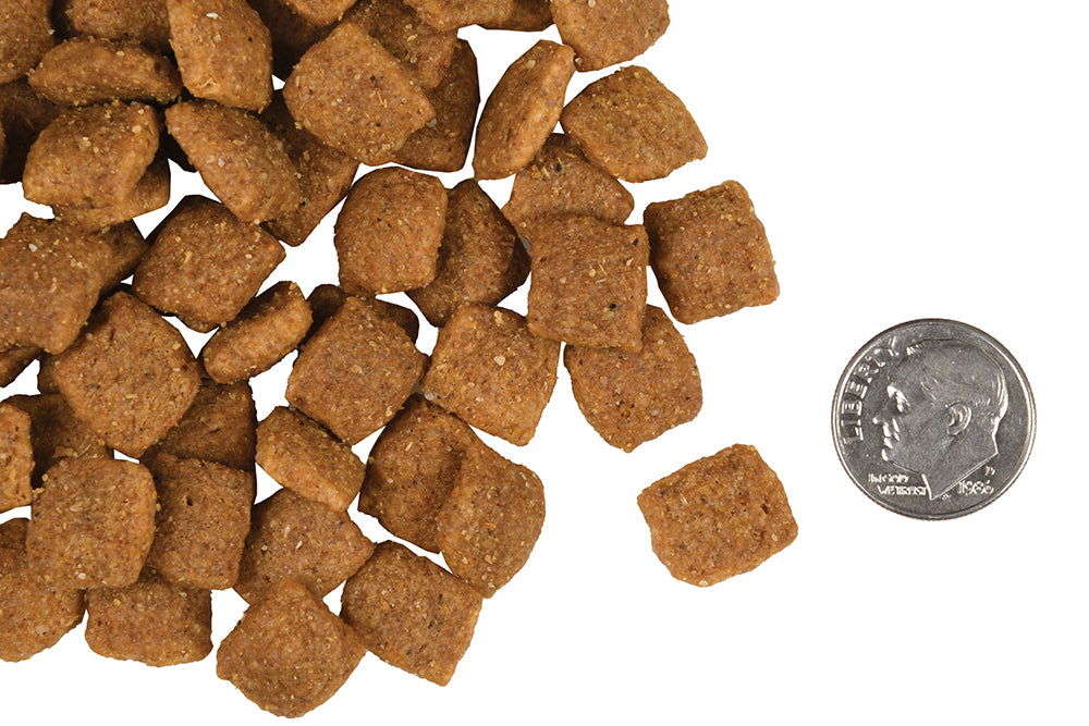 Dog Fromm- Gold Dry Recipe Dog Food