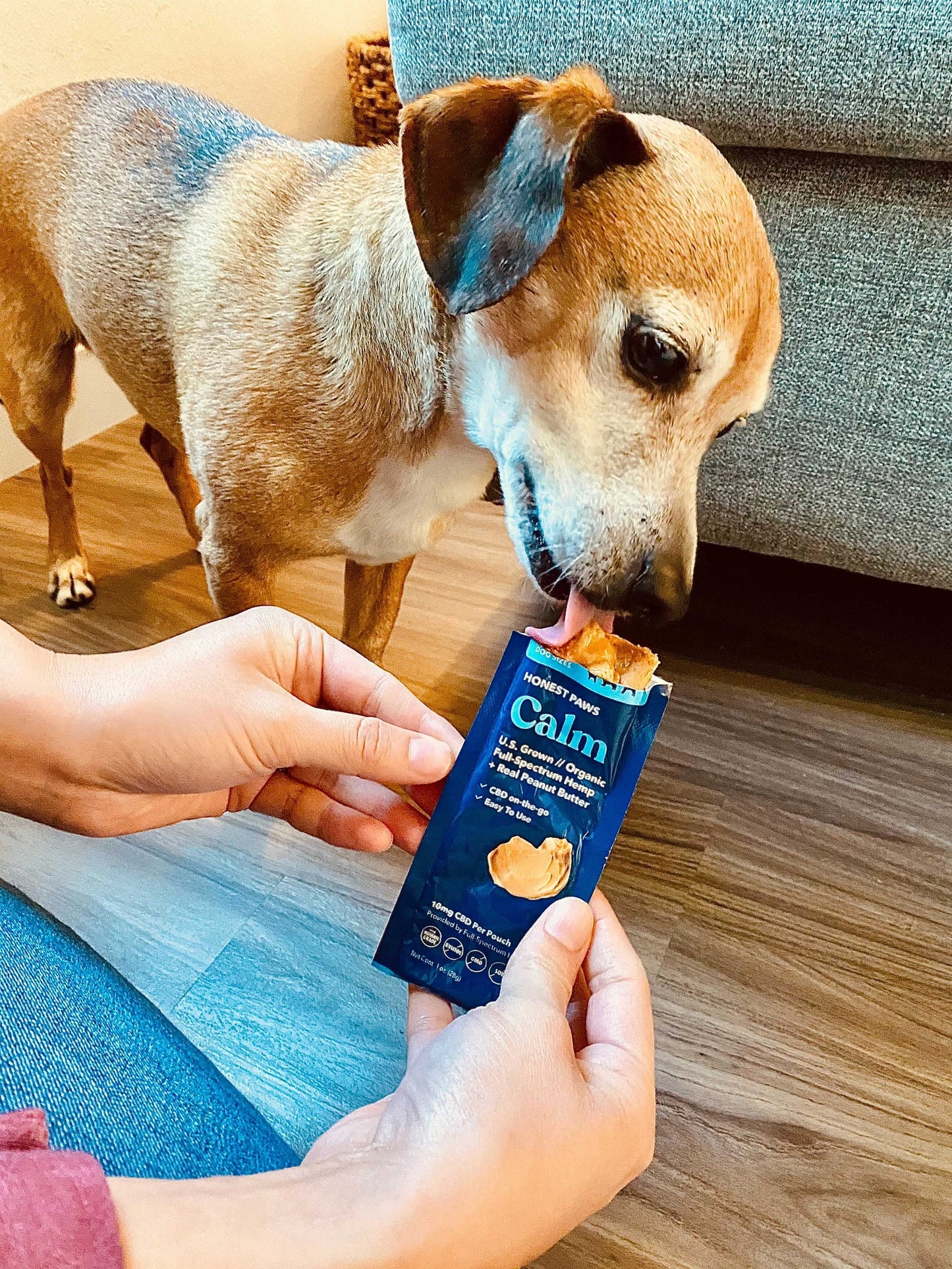 Honest Paws- CBD Peanut Butter Packet (24 count)