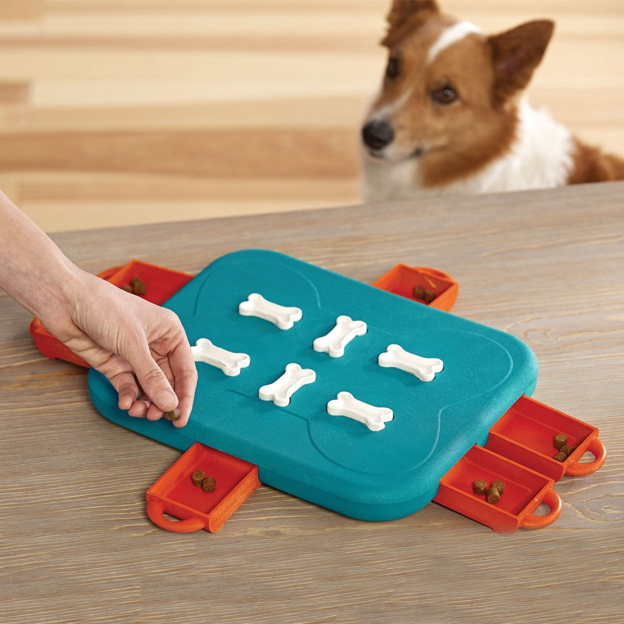 Outward Hound Pet Products- Dog Casino