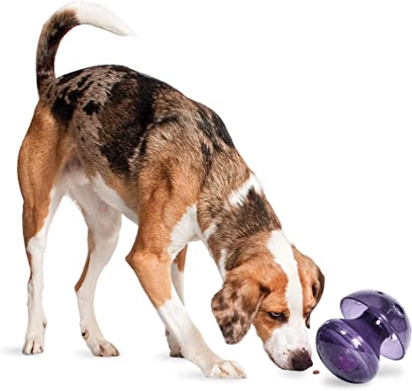 Petsafe Busy Buddy- Magic Mushroom (2 sizes)