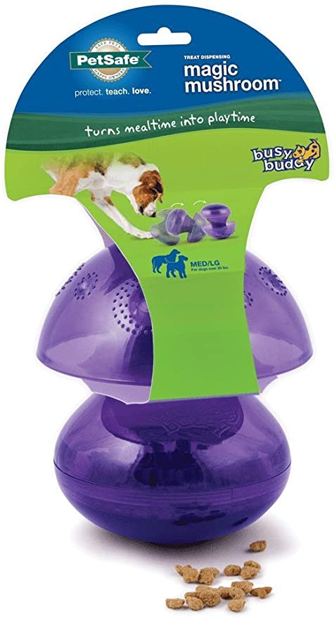 Petsafe Busy Buddy- Magic Mushroom (2 sizes)