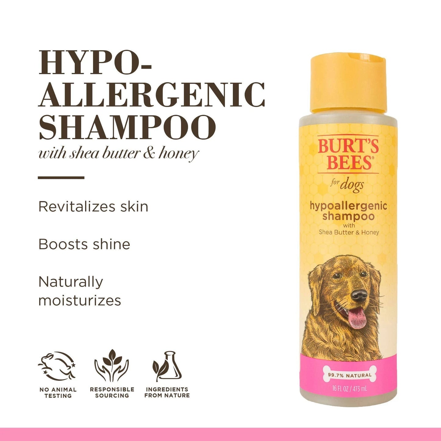 Burt's Bees- Hypoallergenic Shampoo 16oz