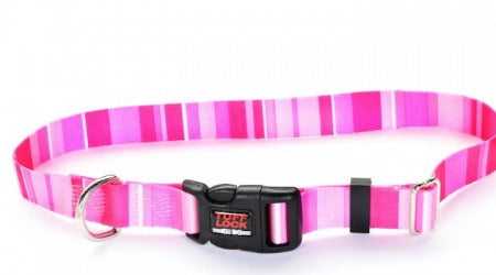 Reflex- Tuff Lock Pet Collars (Patterns)