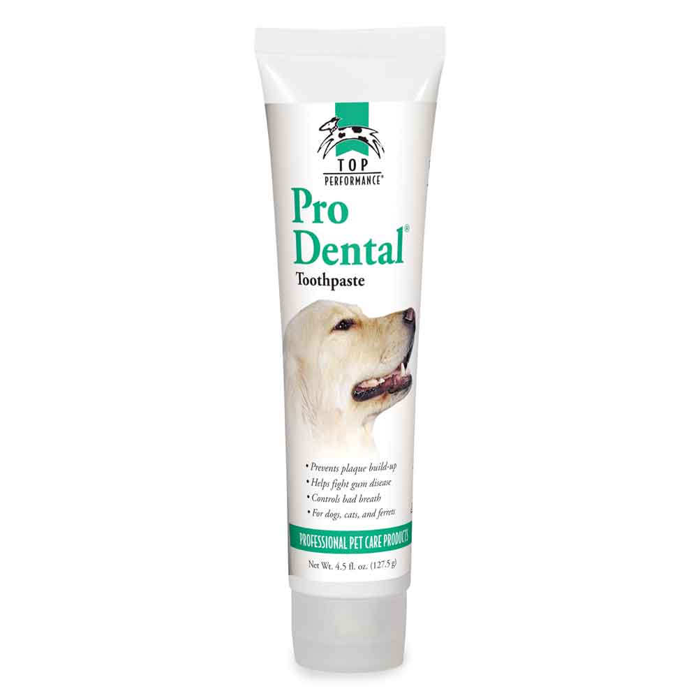 Top Performance- Dental Toothpaste